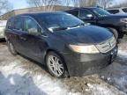 2011 Honda Odyssey EXL