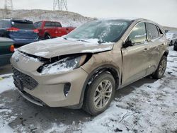 Ford Escape se salvage cars for sale: 2020 Ford Escape SE