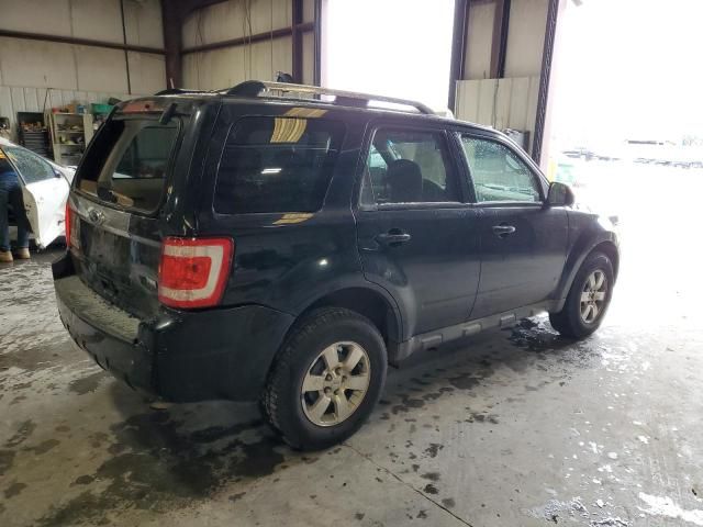 2010 Ford Escape Limited