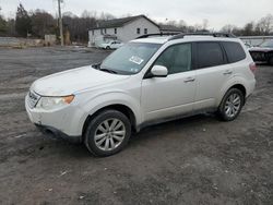 Salvage cars for sale at York Haven, PA auction: 2013 Subaru Forester 2.5X Premium