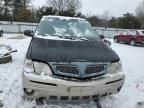 2002 Pontiac Montana Luxury