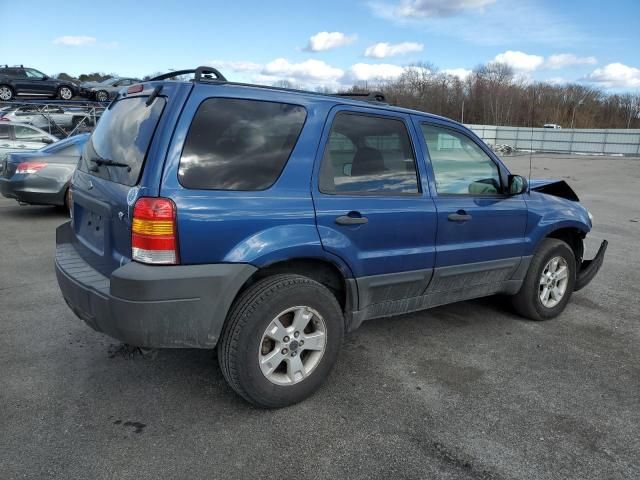 2007 Ford Escape XLT