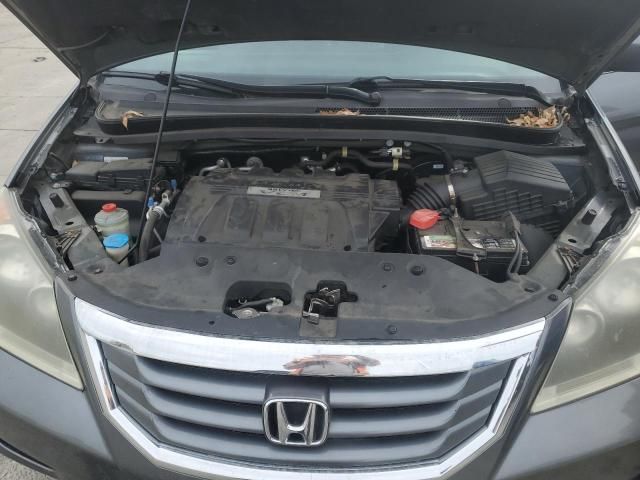 2010 Honda Odyssey EXL