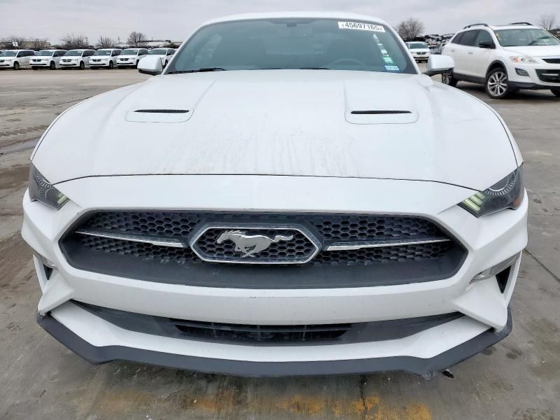 2019 Ford Mustang