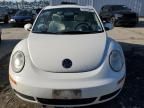 2008 Volkswagen New Beetle Triple White