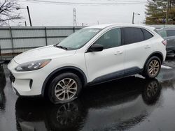 Salvage cars for sale at Glassboro, NJ auction: 2022 Ford Escape SE