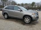 2011 KIA Sorento Base