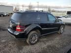 2008 Mercedes-Benz ML 350