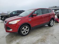 Ford Escape se Vehiculos salvage en venta: 2014 Ford Escape SE