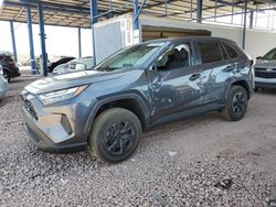 Salvage cars for sale at Phoenix, AZ auction: 2023 Toyota Rav4 LE