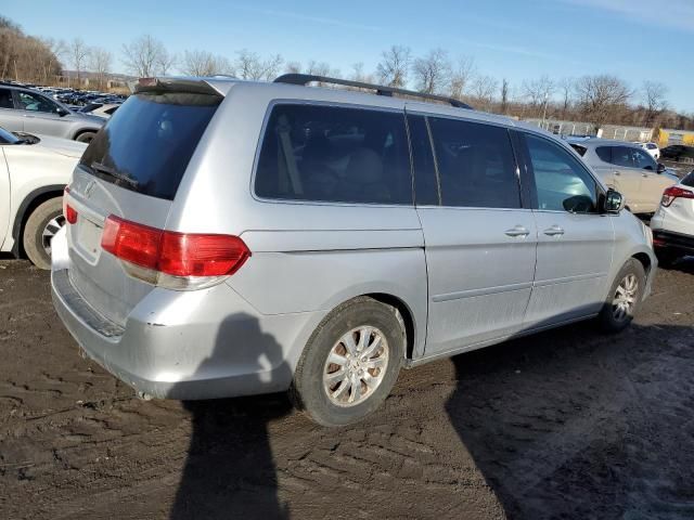 2010 Honda Odyssey EXL