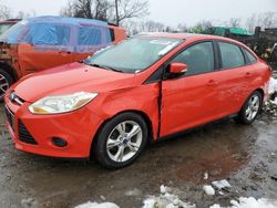 Ford salvage cars for sale: 2014 Ford Focus SE