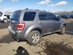 2010 Ford Escape Limited