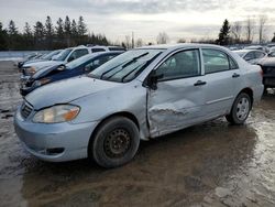 Salvage cars for sale at Bowmanville, ON auction: 2005 Toyota Corolla CE