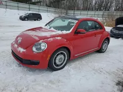 Salvage cars for sale at Davison, MI auction: 2013 Volkswagen Beetle