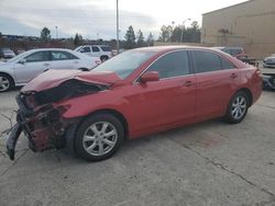 Salvage cars for sale at Gaston, SC auction: 2010 Toyota Camry Base