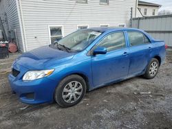 Salvage cars for sale at York Haven, PA auction: 2010 Toyota Corolla Base