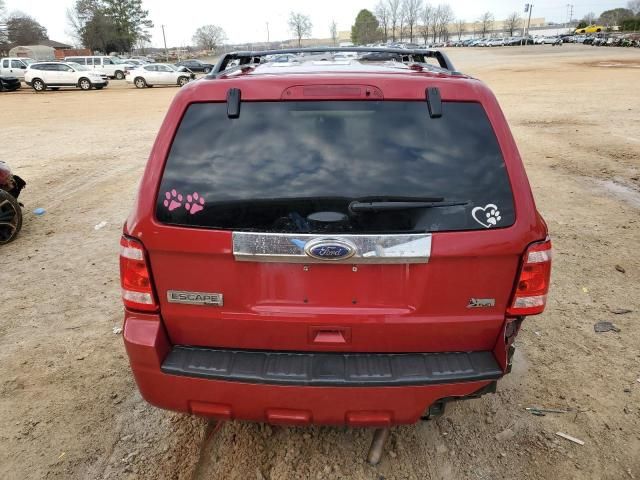 2011 Ford Escape Limited