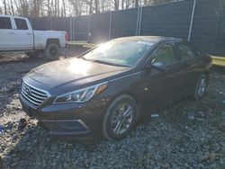 Salvage cars for sale at Waldorf, MD auction: 2016 Hyundai Sonata SE