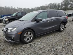 Honda salvage cars for sale: 2019 Honda Odyssey EXL