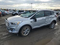 Salvage cars for sale at Indianapolis, IN auction: 2017 Ford Escape SE