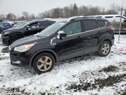 Salvage cars for sale at Chalfont, PA auction: 2013 Ford Escape SE