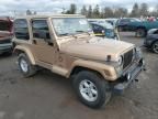 1999 Jeep Wrangler / TJ Sahara