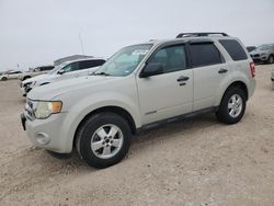 Vehiculos salvage en venta de Copart Amarillo, TX: 2008 Ford Escape XLT