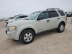 2008 Ford Escape XLT