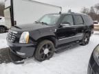 2008 Cadillac Escalade Luxury