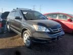 2011 Honda CR-V EXL