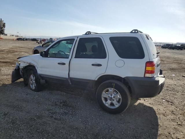 2006 Ford Escape XLT