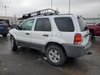 2007 Ford Escape XLT