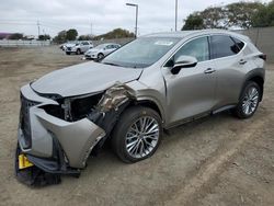 Salvage cars for sale from Copart Cleveland: 2025 Lexus NX 350H Base