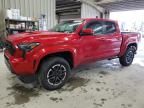 2024 Toyota Tacoma Double Cab