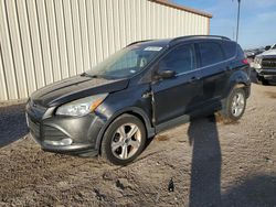 Salvage cars for sale at Temple, TX auction: 2015 Ford Escape SE