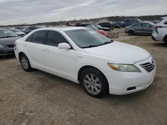 2009 Toyota Camry Hybrid