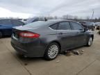 2016 Ford Fusion SE Hybrid