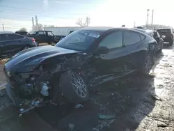 Salvage cars for sale at Woodhaven, MI auction: 2024 Ford Mustang MACH-E GT