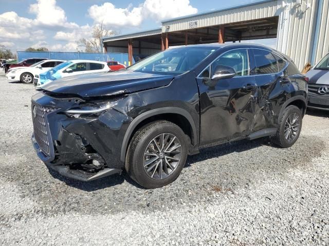 2023 Lexus NX 250