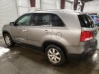 2011 KIA Sorento Base