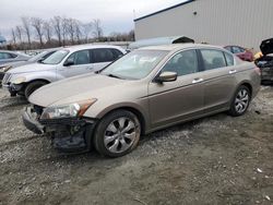 Salvage cars for sale at Spartanburg, SC auction: 2008 Honda Accord EXL