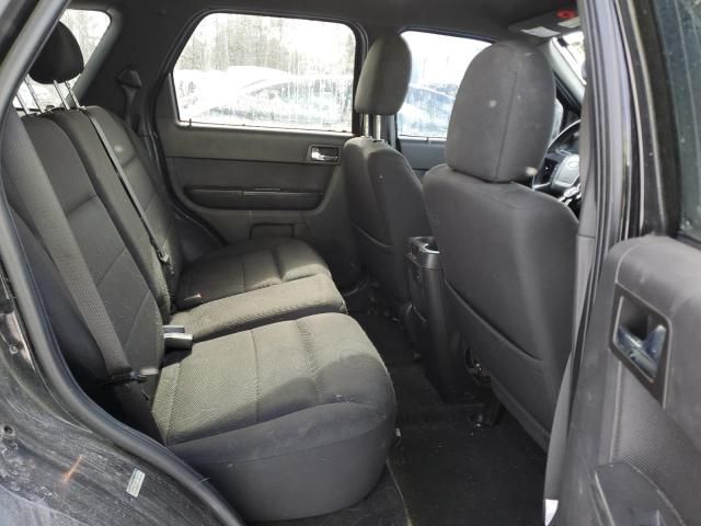 2009 Ford Escape XLT