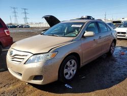 Salvage cars for sale at Elgin, IL auction: 2010 Toyota Camry Base