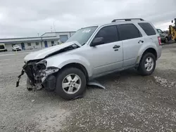 Salvage cars for sale at Lumberton, NC auction: 2011 Ford Escape XLT