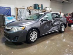 Salvage cars for sale at Elgin, IL auction: 2013 Toyota Camry L