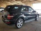 2010 Mercedes-Benz ML 350