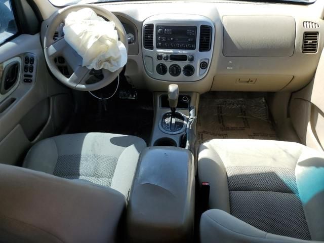 2005 Ford Escape XLT