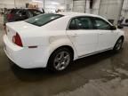 2008 Chevrolet Malibu 1LT