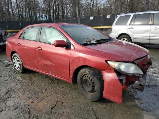 2011 Toyota Corolla Base